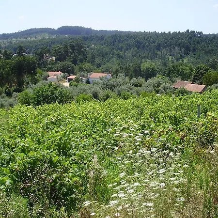 Casa Do Sonho Ferreira do Zezere