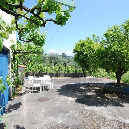 Holiday home Casa Do Sonho Ferreira do Zezere