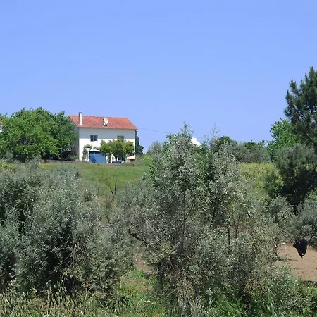 Casa Do Sonho Ferreira do Zezere